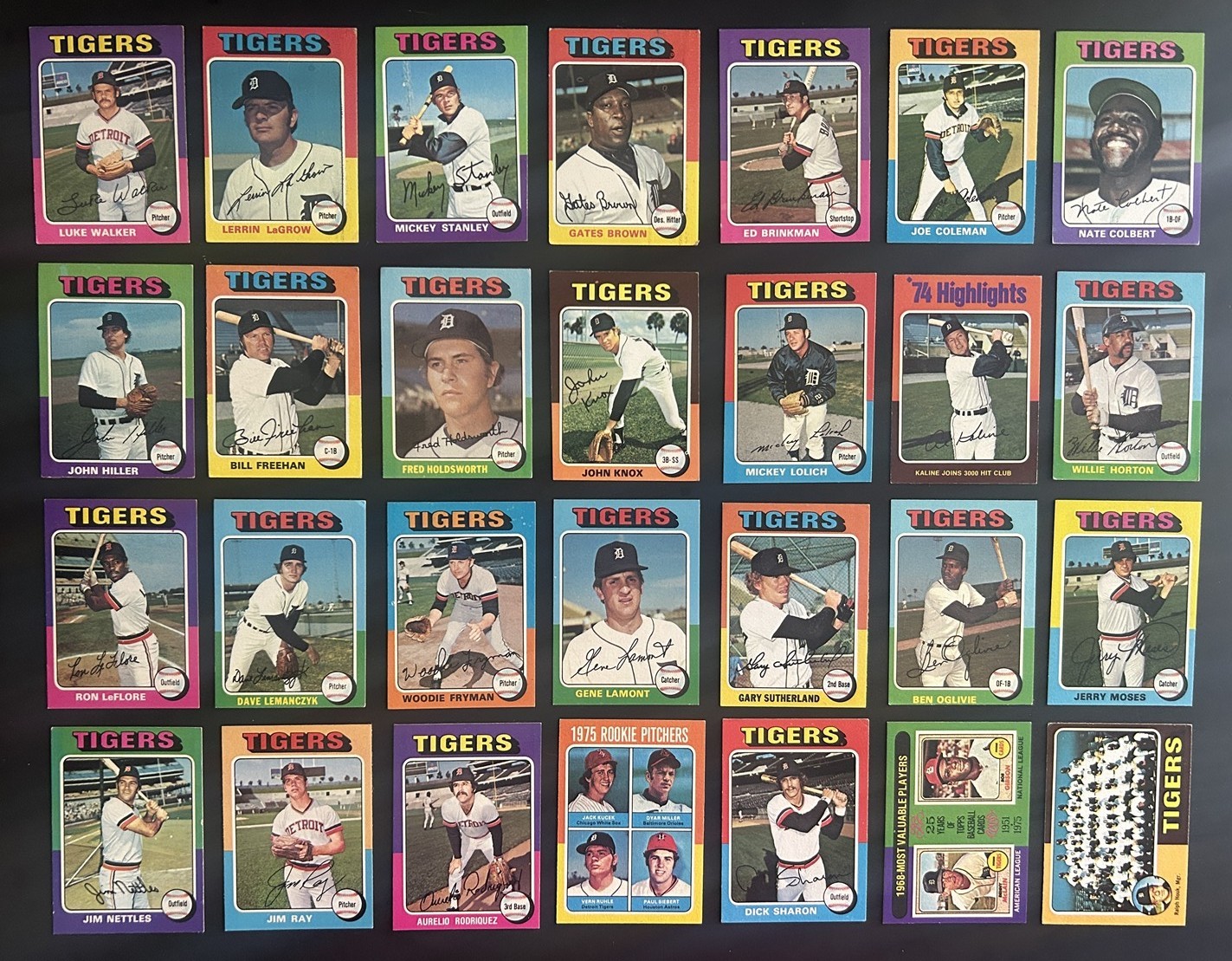 1975 Topps DETROIT TIGERS Team Set AL KALINE #3000 Lolich FREEHAN LeFlore HORTON