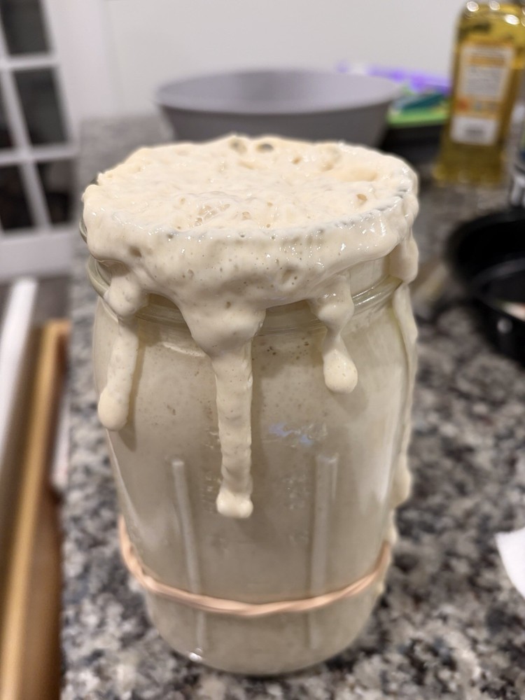 Dried Sourdough Starter with Instructions
