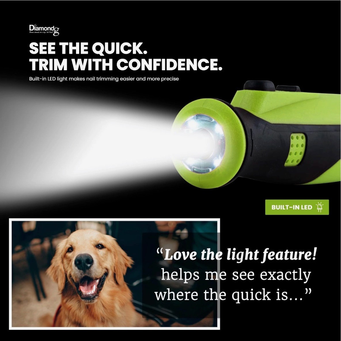 Diamondg Cordless Nail Grinder for All Dog Breeds, Storage Bag + 2 Grinding Tips