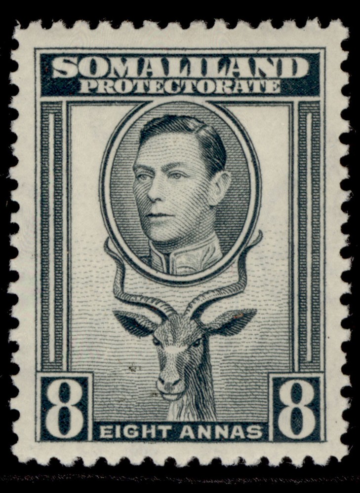 SOMALILAND PROTECTORATE GVI SG99, 8a grey, M MINT.