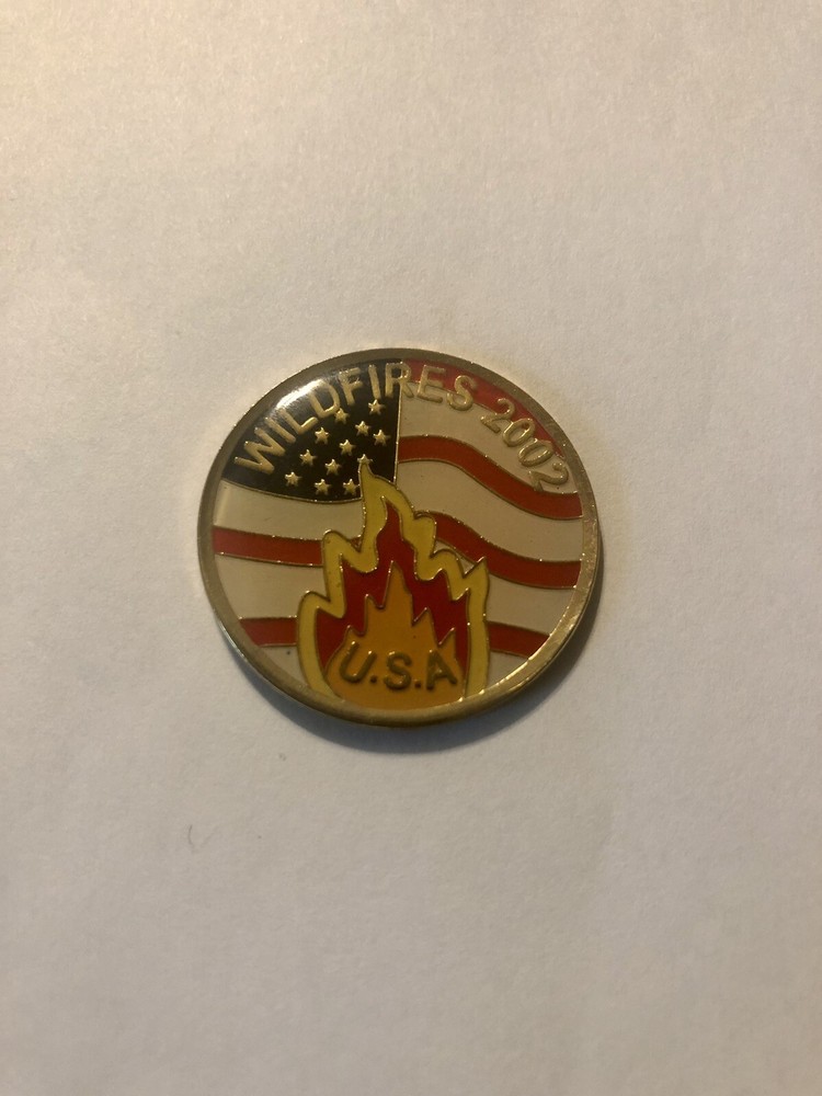 Forest Fire Department Lapel Pinback 2002 WildFires