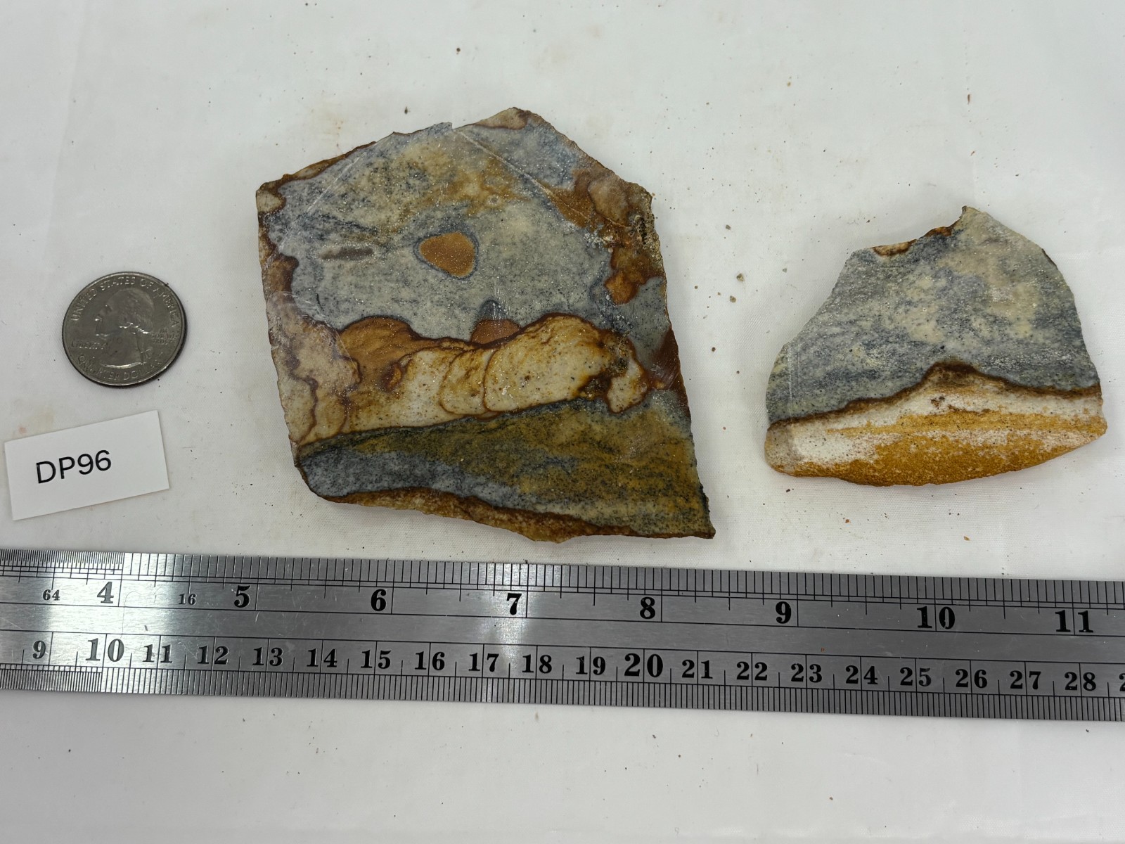 Disaster Peak Picture Jasper Cabbing Lapidary Collecting Combo Ship Avail