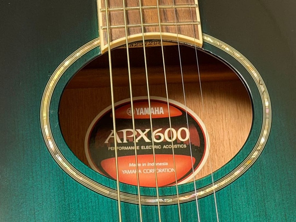 Hard Case YAMAHA APX600 OBB Safe Packing!