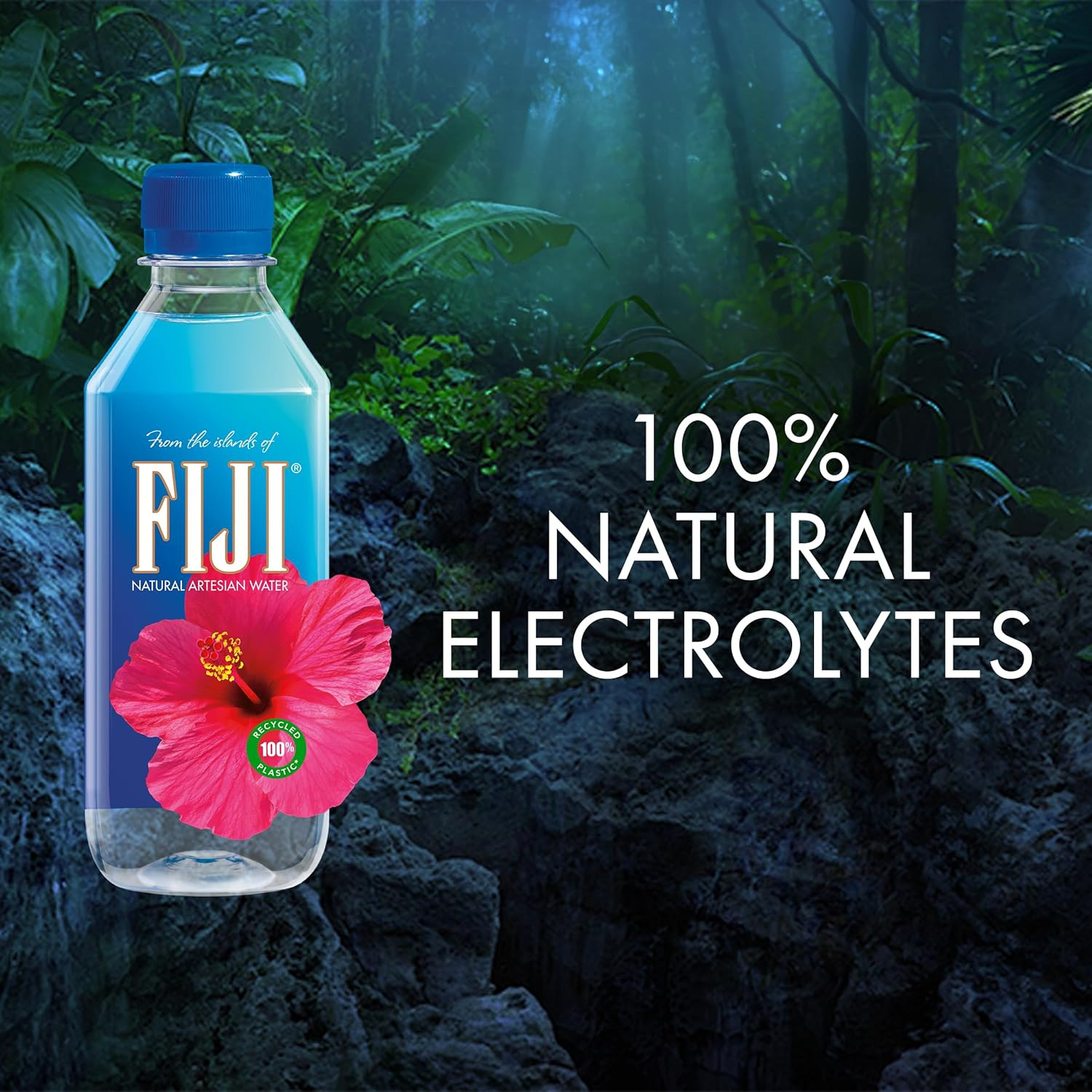 FIJI Natural Artesian Bottled Water 330Ml / 11.15 Fl Ounce (Pack of 24) - 100% N