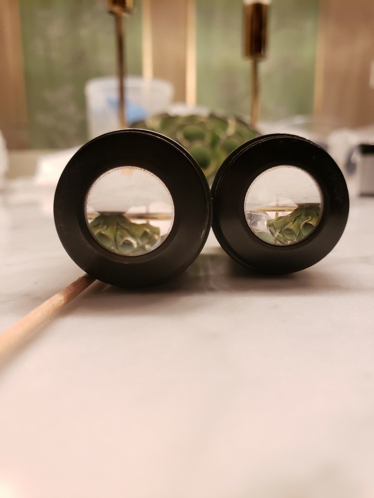 Unitron WF10x Microscope Eyepieces (Used) – Free Shipping