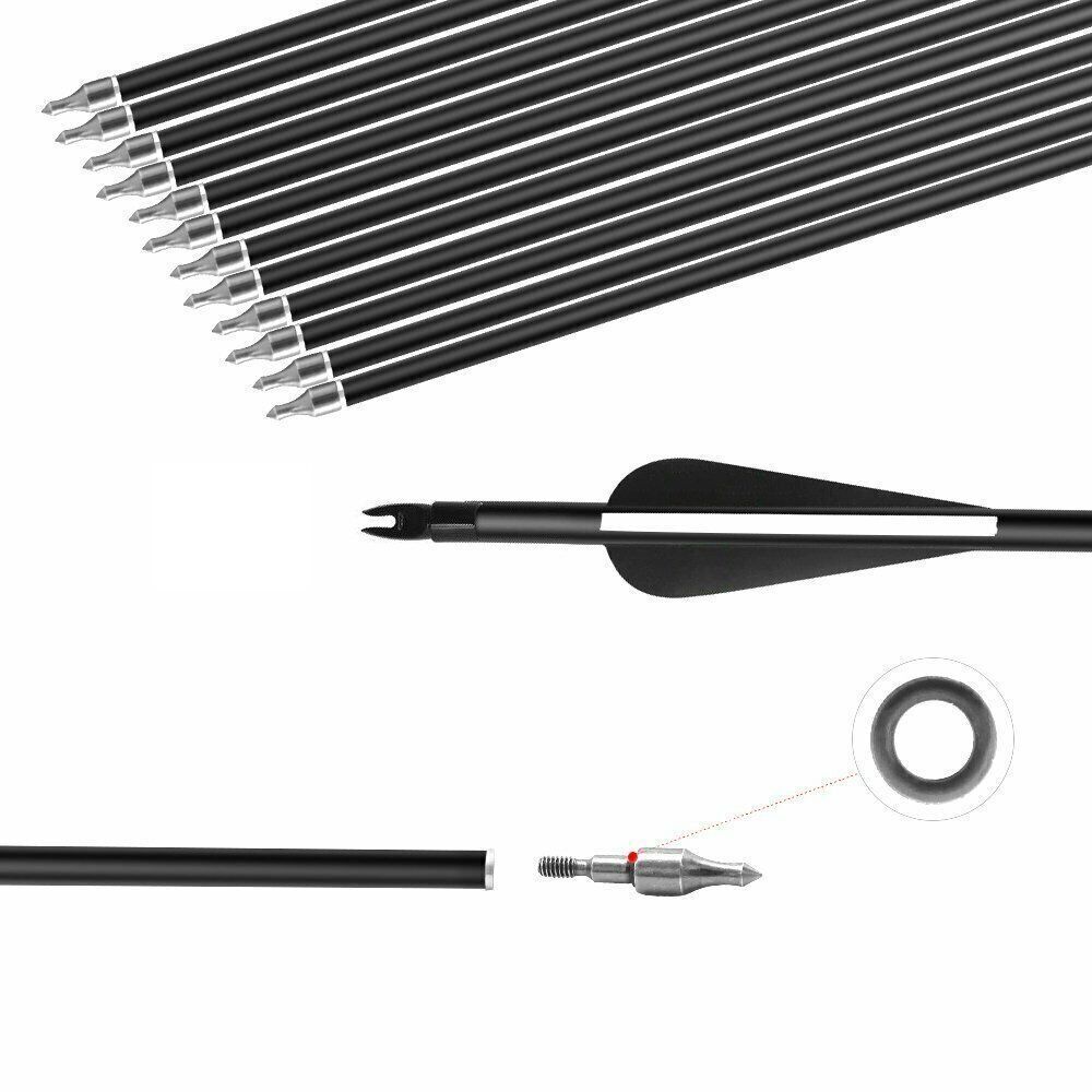 12Pcs 30'' Fiberglass Practice Target Arrows with Replaceable Arrowhead Spine500