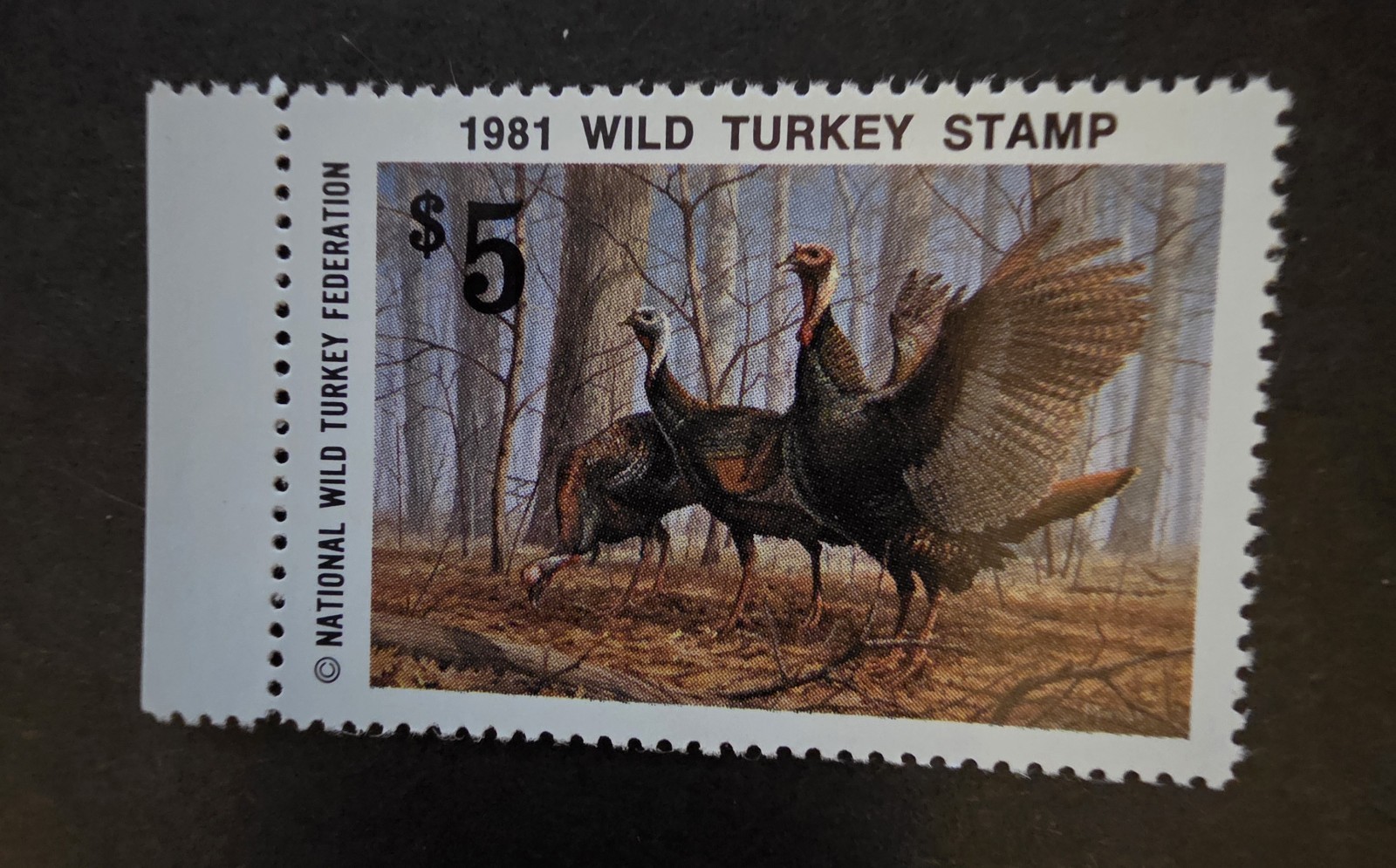 US 1981 NWTF-6 National Wild Turkey Federation Stamp - Mint OG NH Unused T17522