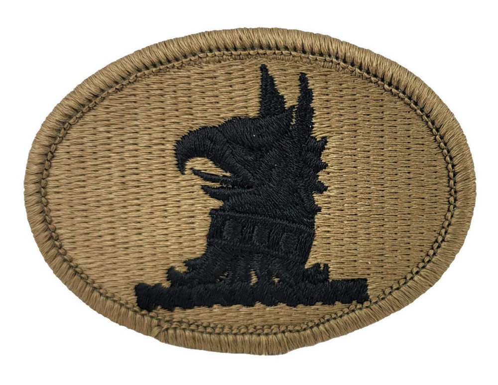 Delaware Army National Guard OCP Patch - U.S. Army Patch