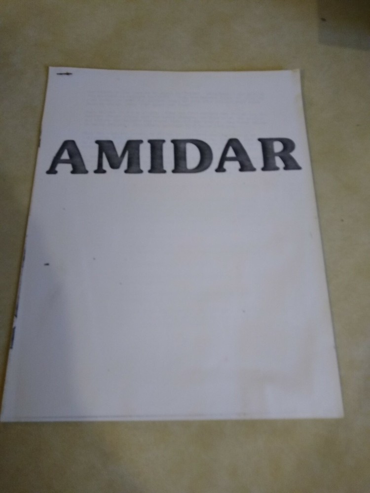 Stern Amidar Arcade Manual