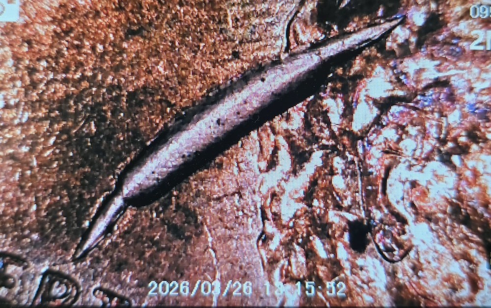 2010 Lincoln Shield Cent 💥Large Retained Strike Through Obverse Mint Error💥