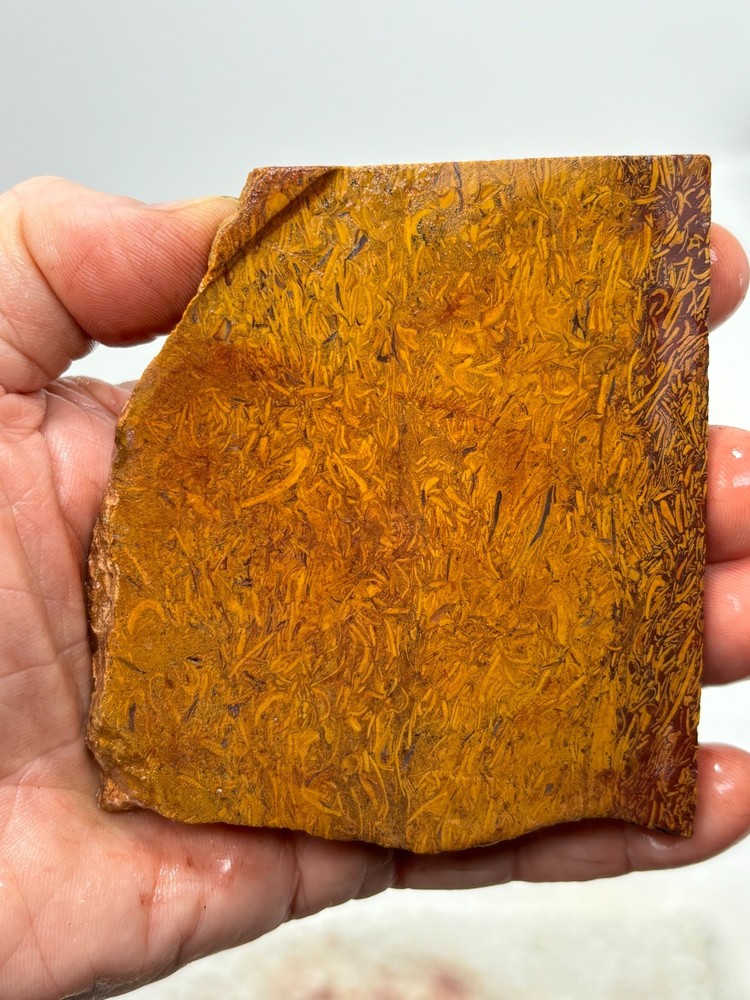 Script Stone Jasper Slab Cabbing Lapidary Collecting Combo Ship Avail