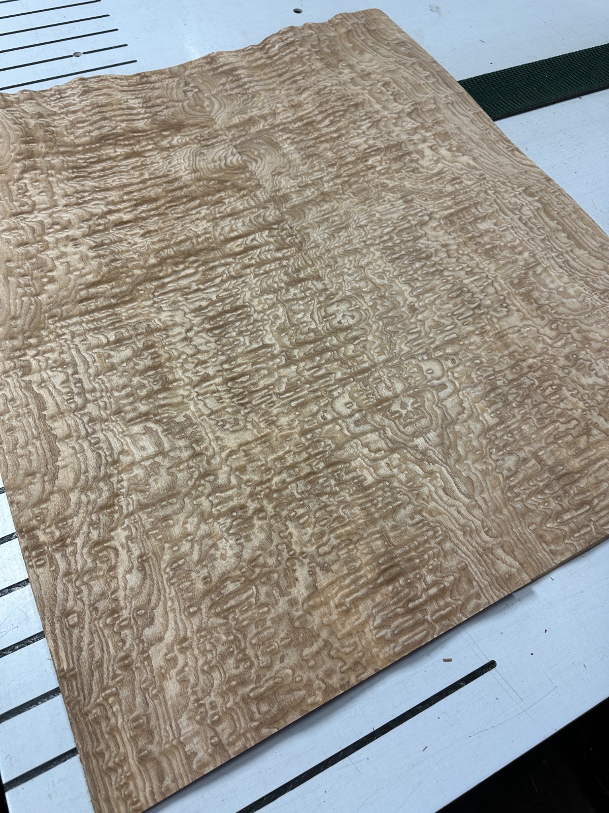 Tamo Ash Raw Wood Veneer 2 sheets 35'' x 15'' 319V