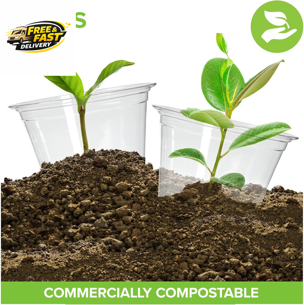 9 Oz Clear Commercially Compostable Cold Cups (100 Pack) PLA Disposable Party