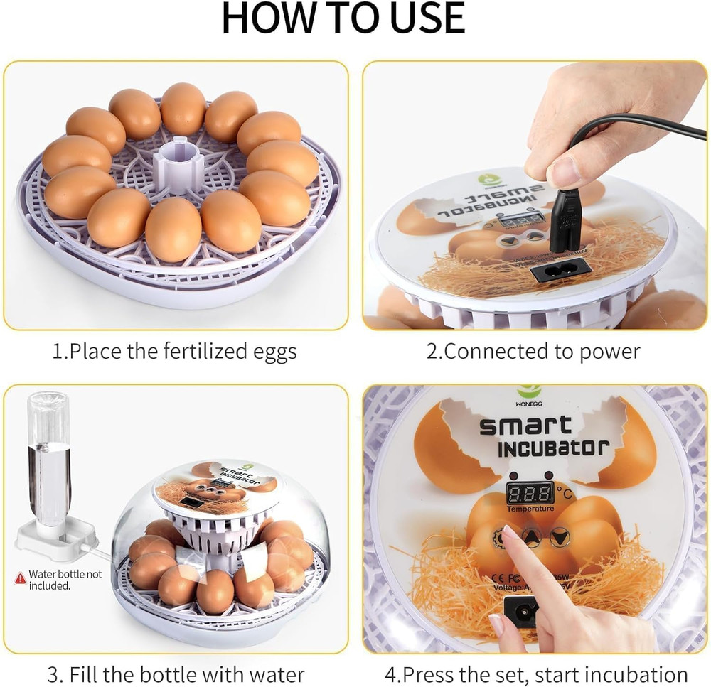 Simple 12-Egg Incubator for Beginners, Auto Egg Turn, Steady Self-Regulating Hum