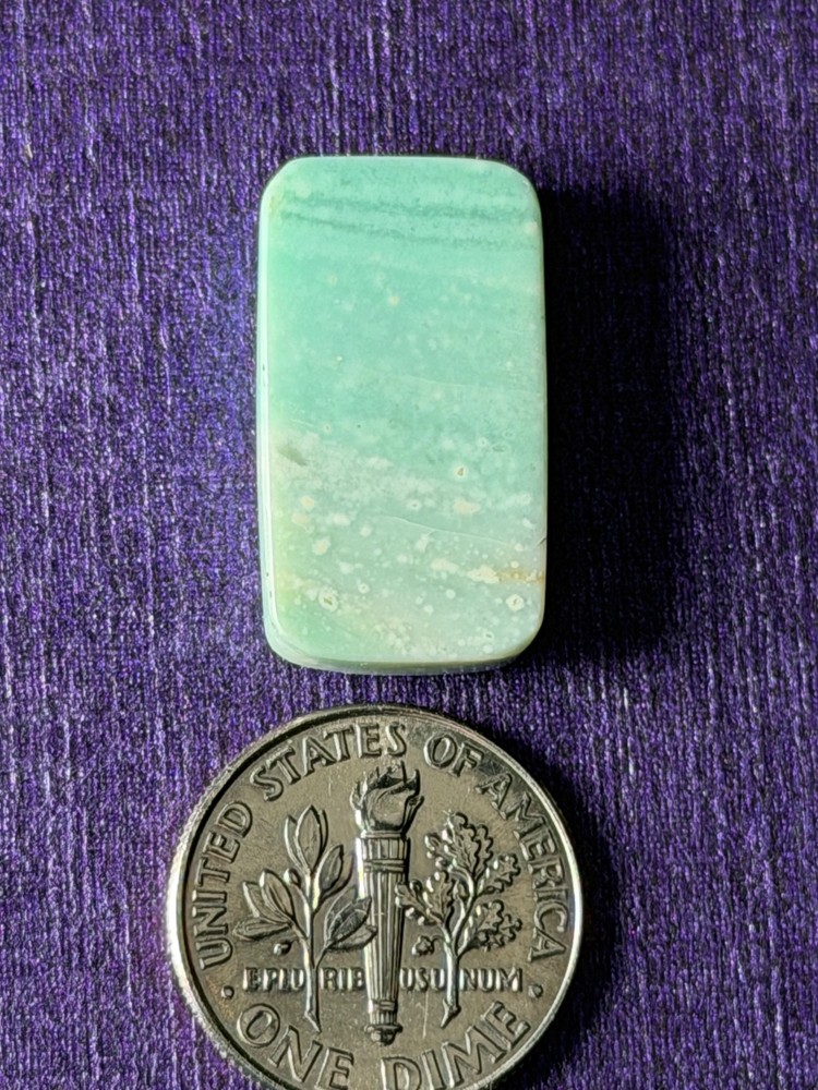 Blue Petrified Opalized Wood Cabochon