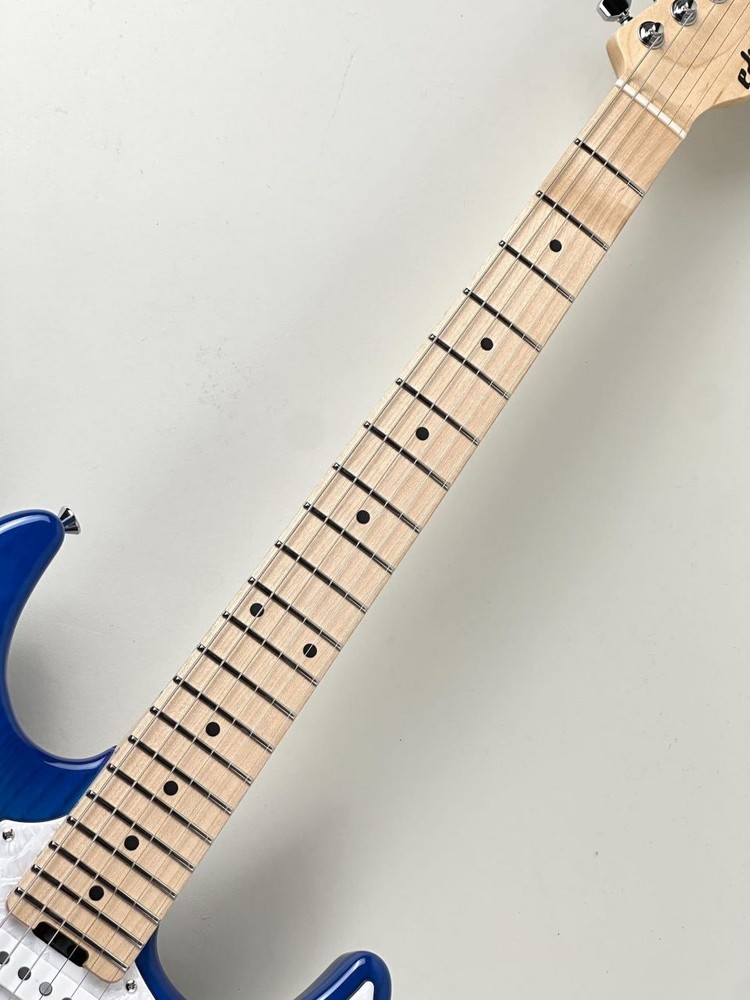 EDWARDS E-SNAPPER-AS M Weight 3.8