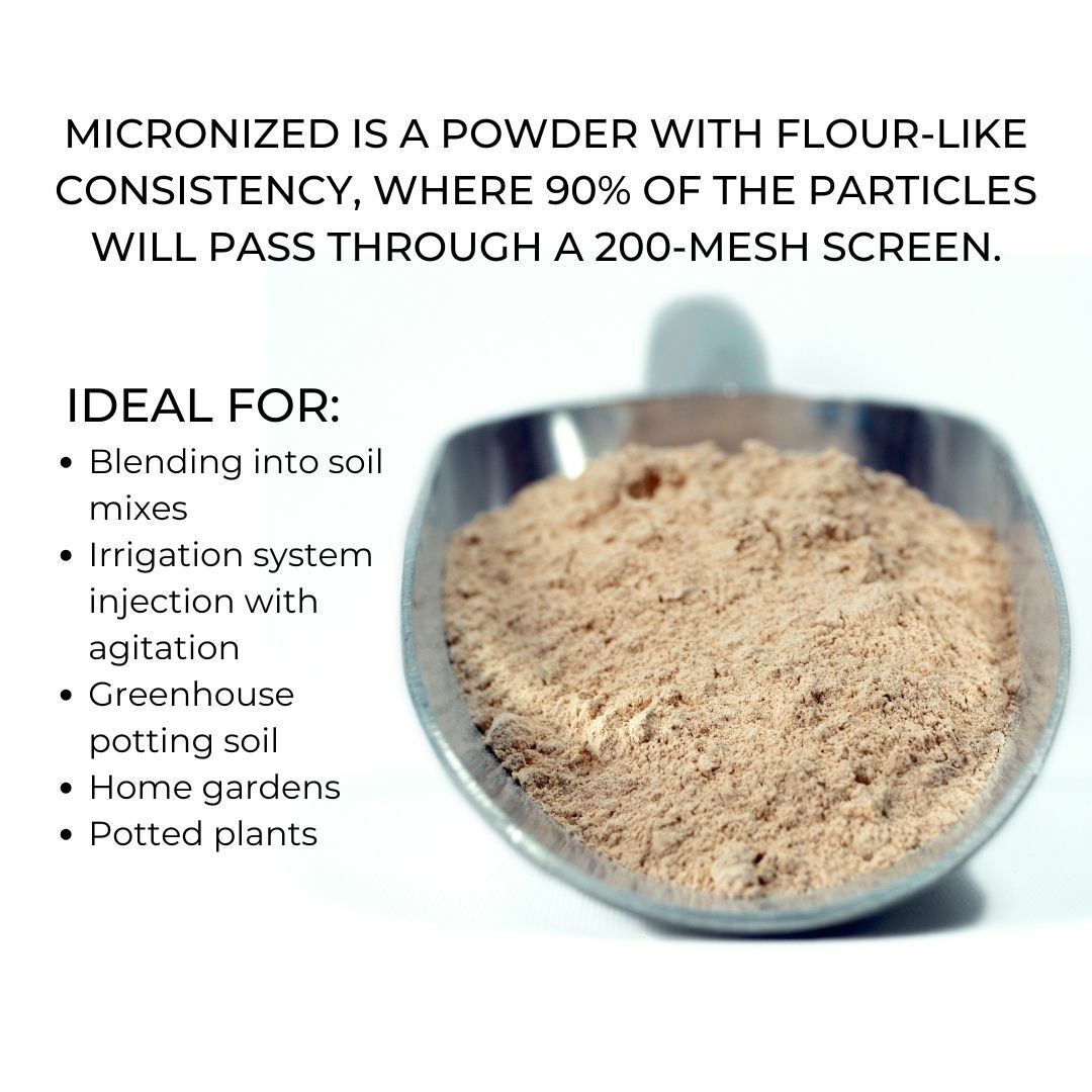 44 Pound AZOMITE Volcanic Ash Rock Dust Powder -67 Trace Minerals - Original Bag