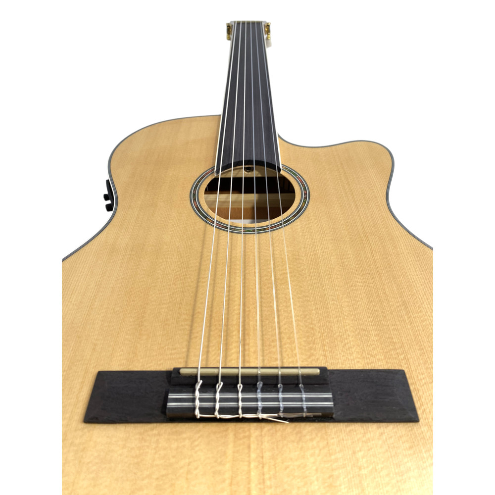 Haze Solid Top Fretless Arched Back Classical Guitar - Matte C551BCEQSMFL