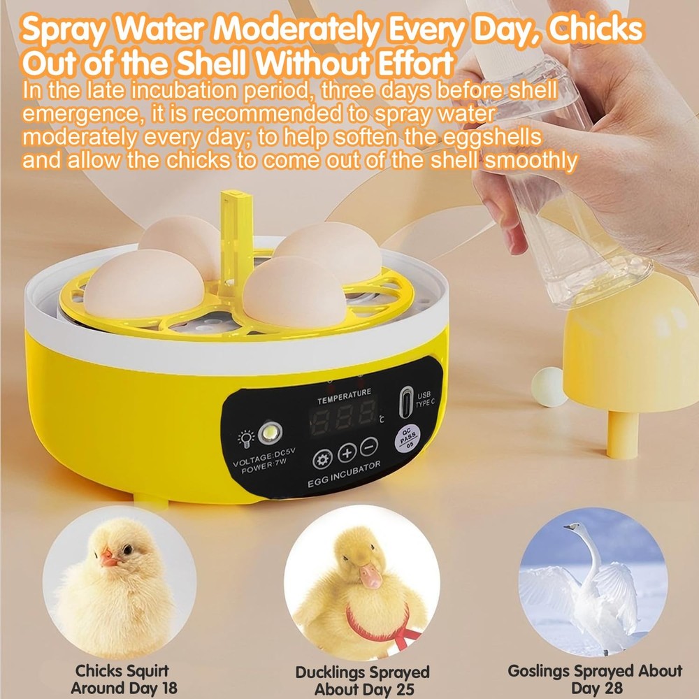 4 Eggs Mini Incubator with Transparent Lid,7W Automatic Temperature Humidity ...