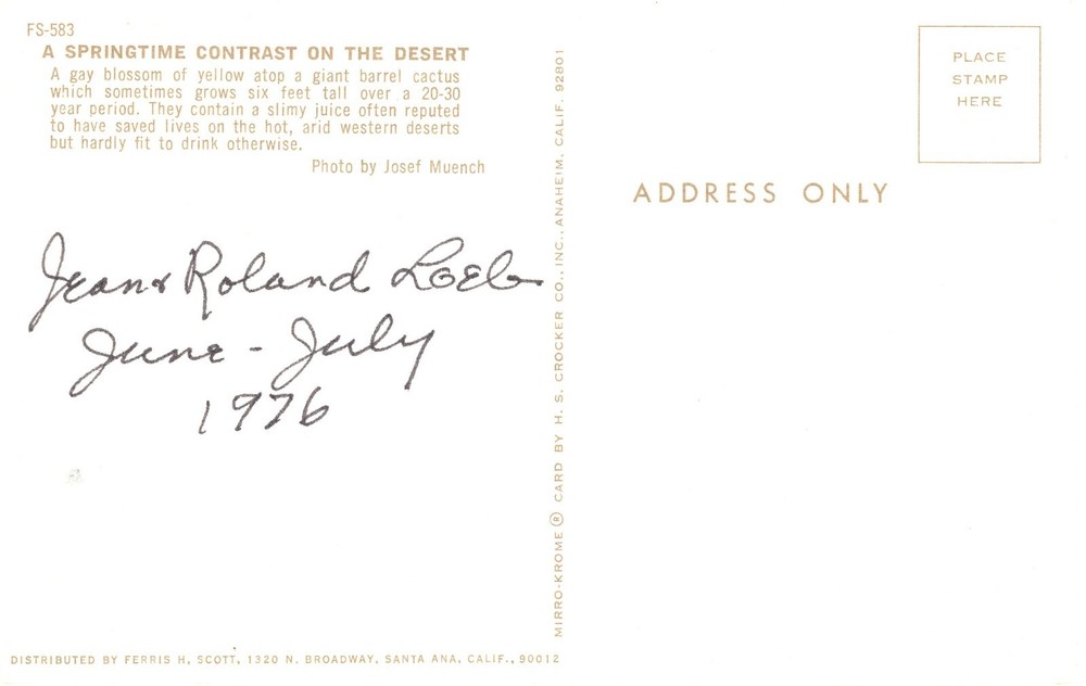 A SPRINGTIME CONTRAST ON THE DESERT - PC6247