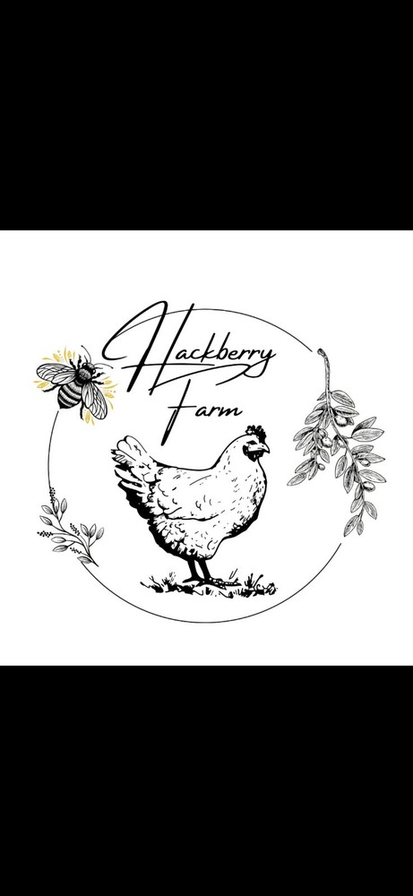 12 Silver Leghorn Hatching Eggs