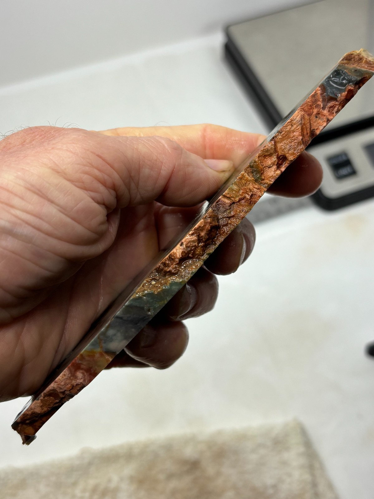 Gary Green Caldera Freedom Jasper Slab Cabbing Lapidary Combo Ship Avail