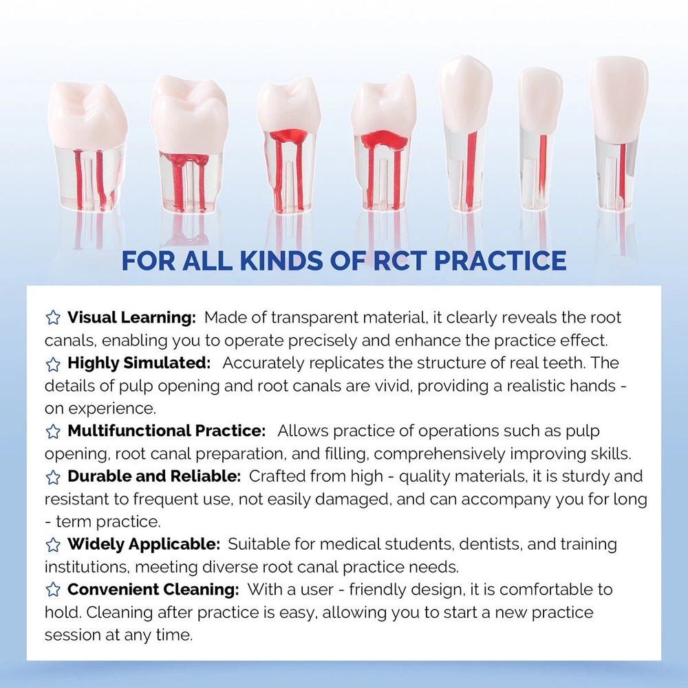 Dental Endodontics RCT Root Canal Practice Model 28 Teeth Block Pulp Cavity