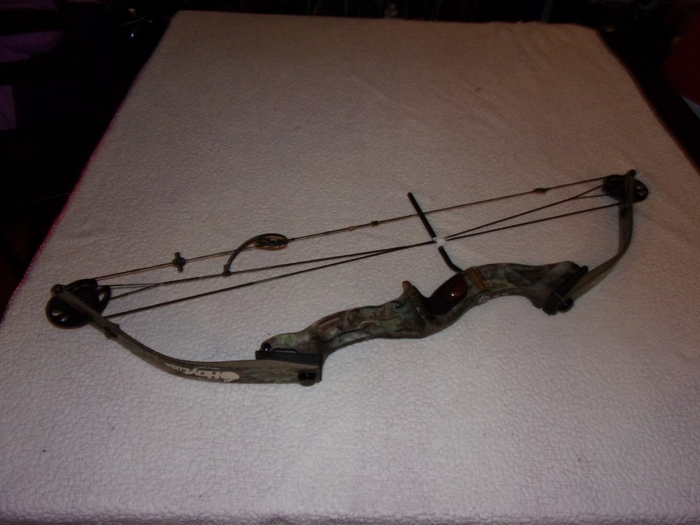 Hoyt Raptor Excel Compound Bow
