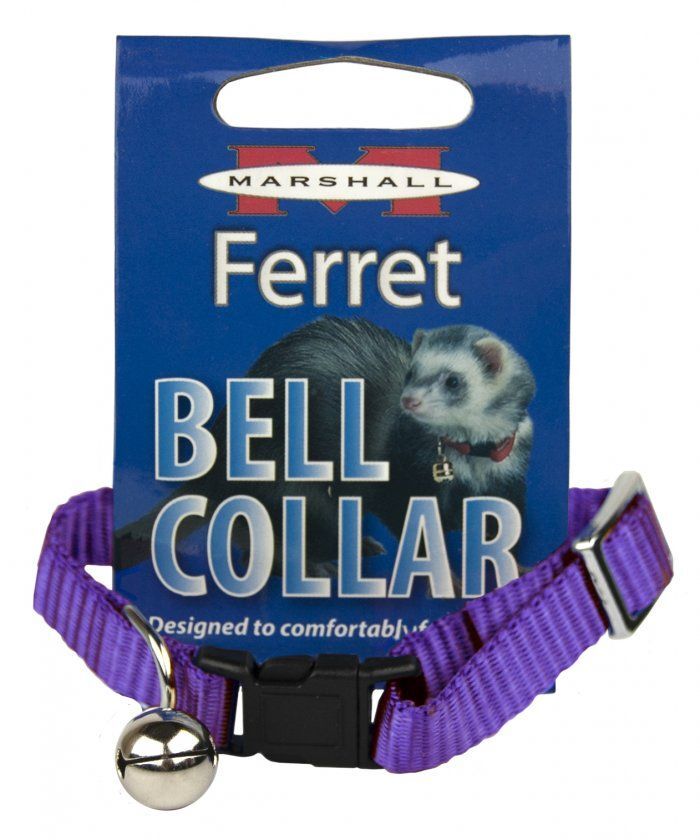 Small Pet, Marshall Ferret Bell Collar - Purple (1 Count)