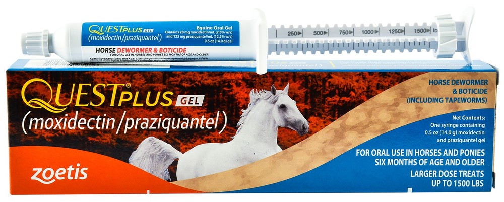 Quest Gel Plus 1ds