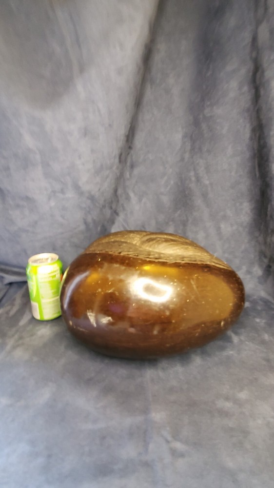 Coco De Mer Coconut "Double Coconut" "Seychelles Coconut"