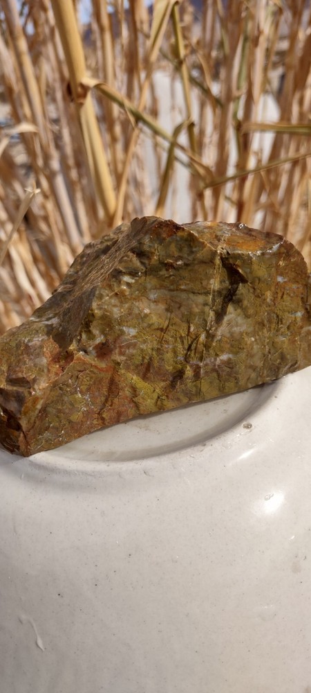 Lapidary Jasper Rough Specimen
