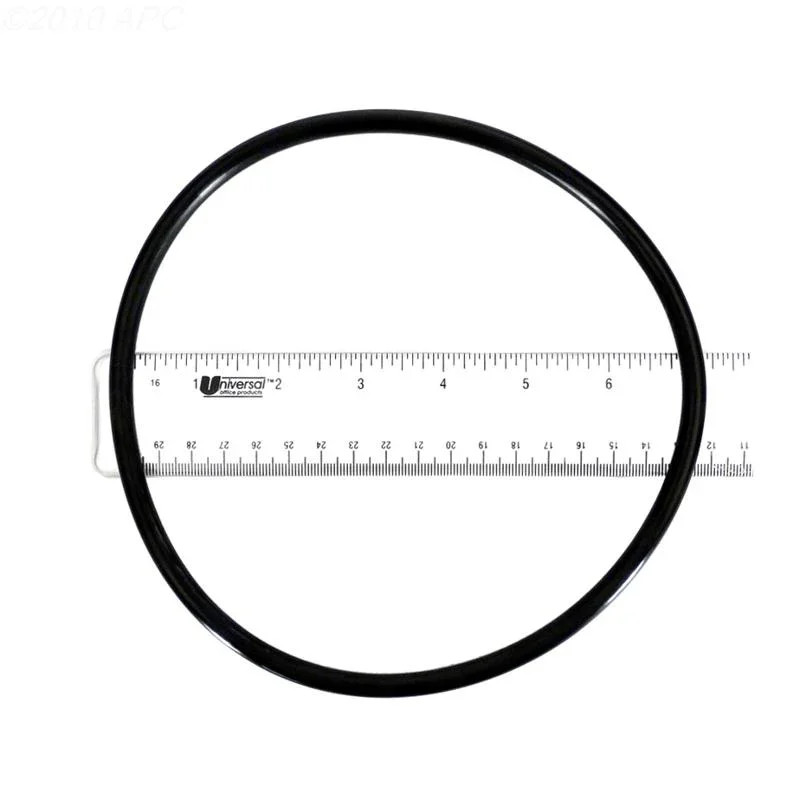 O-Ring, lid (b)