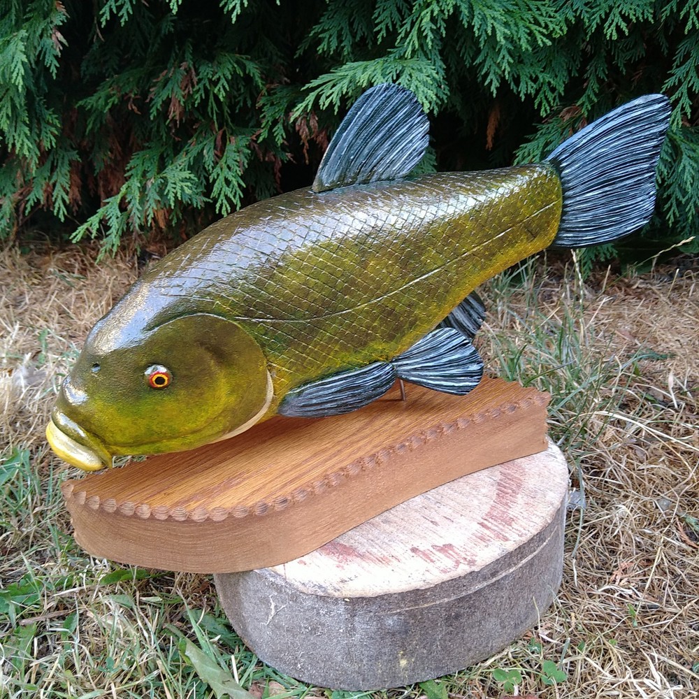 Tench Fishing , fish