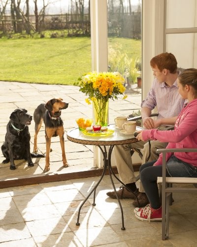 First Alert Bark Genie Handheld Control (Used)