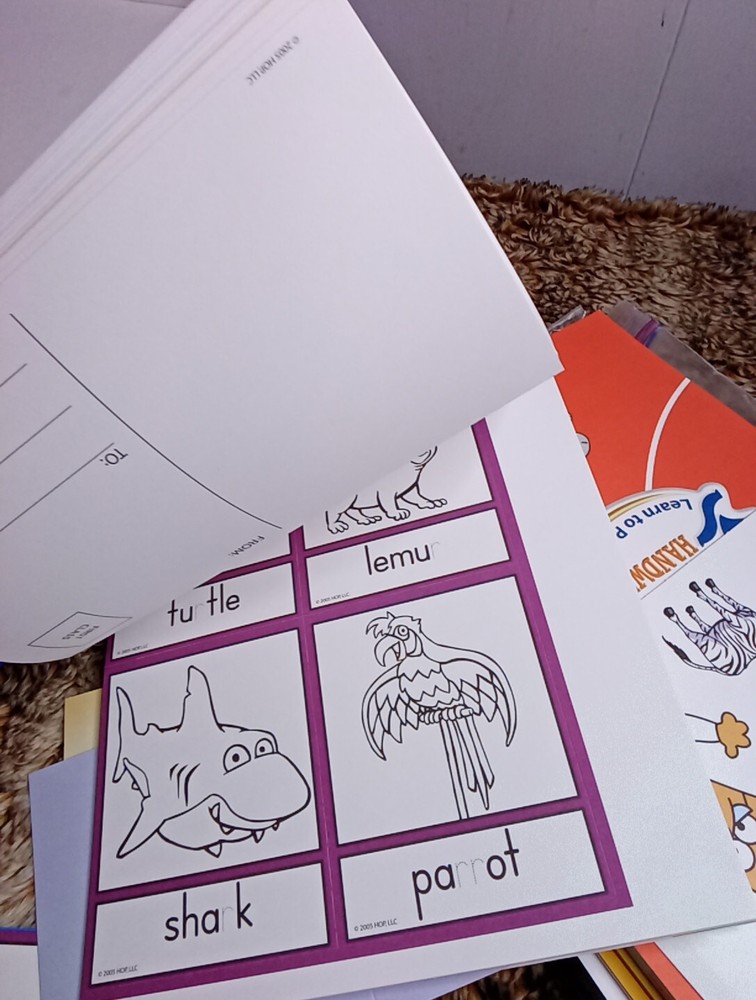 Hooked on Handwriting Learn to Print Upper and Lowercase