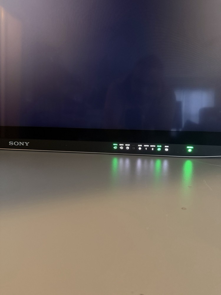 Monitor SONY LMD-X550MT