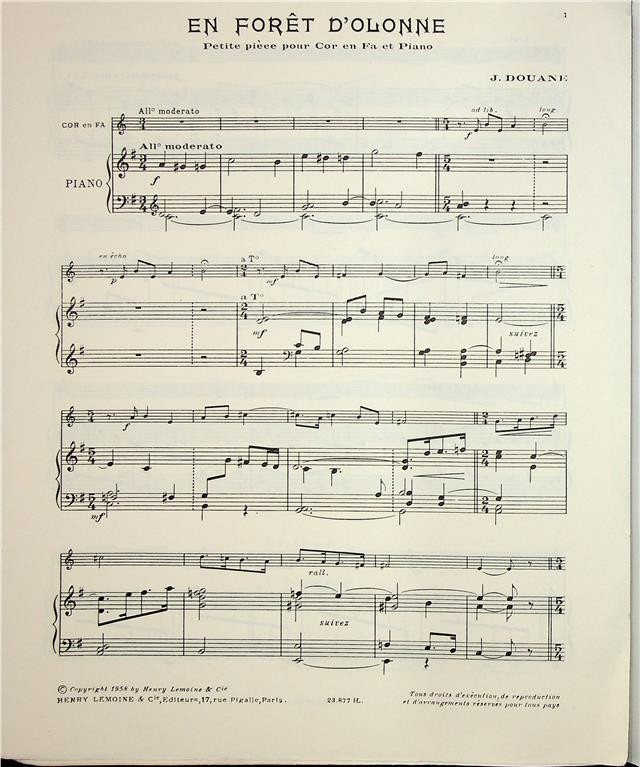 EN FORET D'OLONNE --- COR