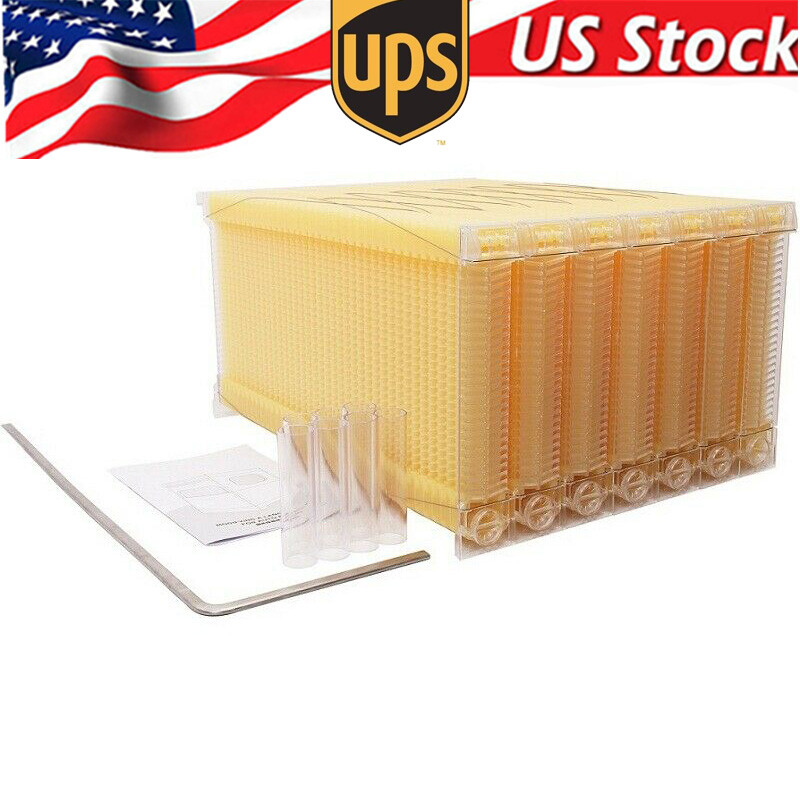 7 PCS Auto Honey Beehive Hive Beehive Frames KIT for Brood Beekeeping Box US