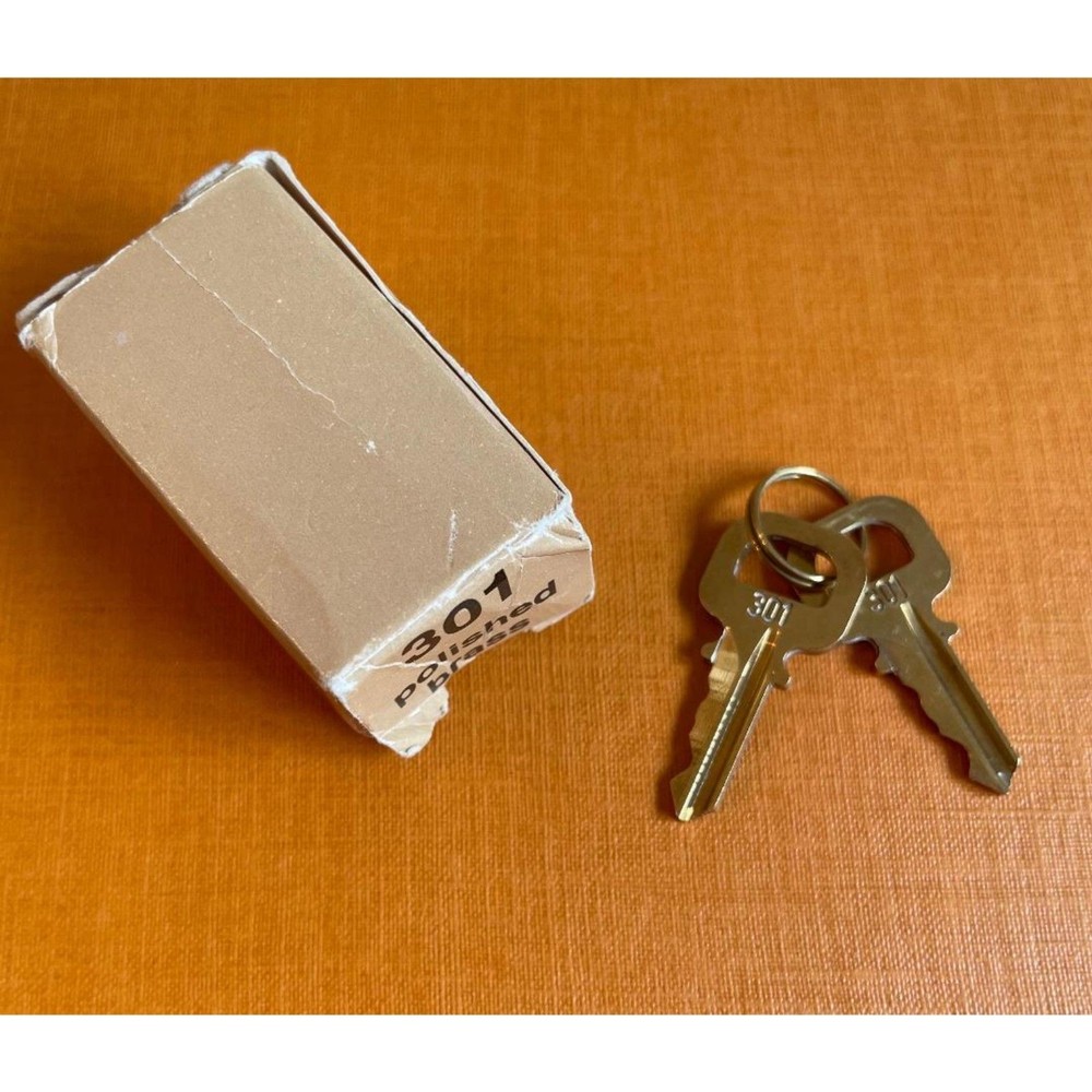 Louis Vuitton 2 Keys #301