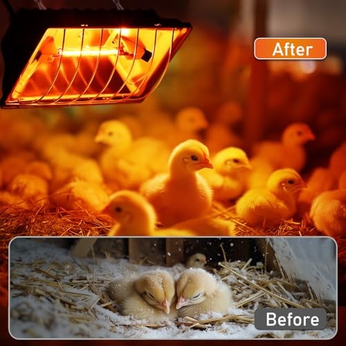 250W for Chicks Ducks, Brooder Heater with 2PCS Heat Chicken Brooder Heater