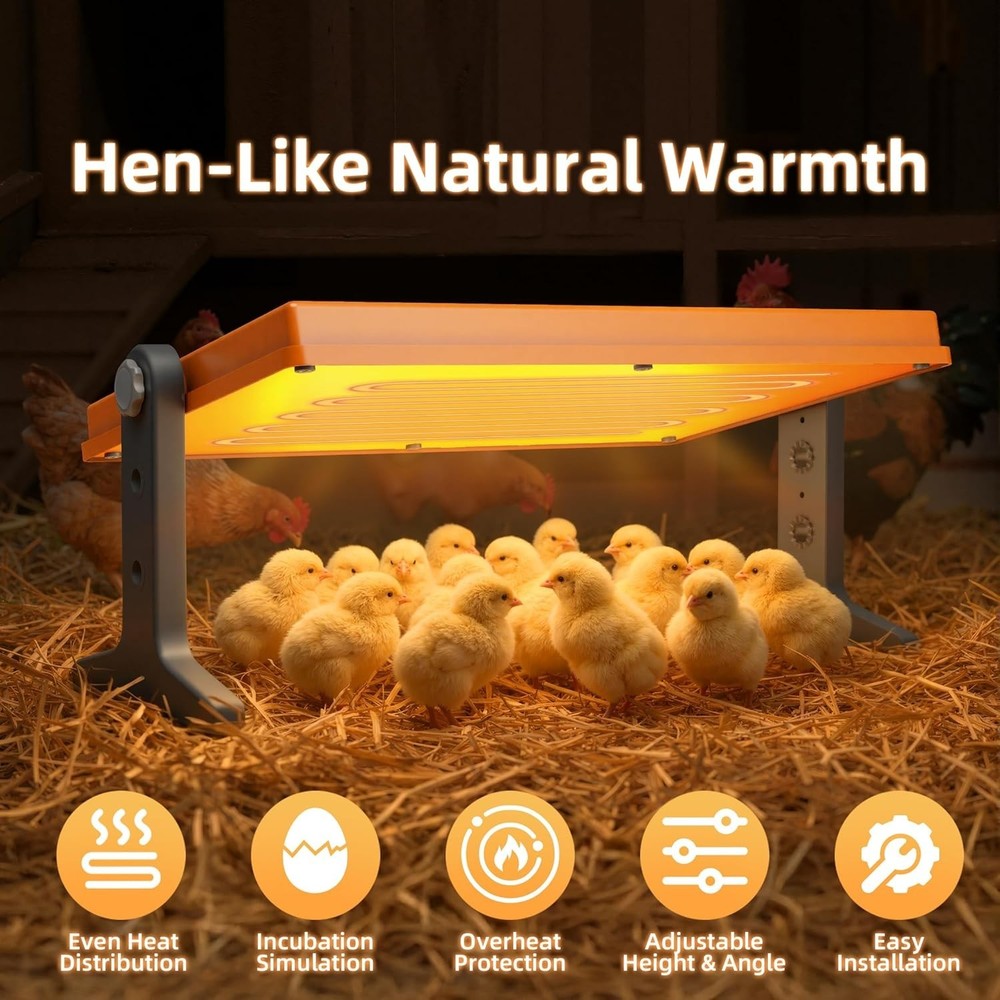 Adjustable Poultry Brooder Heating Plate – 12" x 8" for Safe Warmth of 10 Chicks