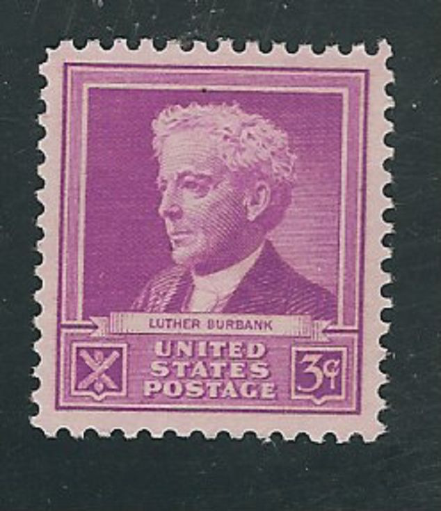 Scott #876....3 Cent...Burbank...16 Stamps ...MNH