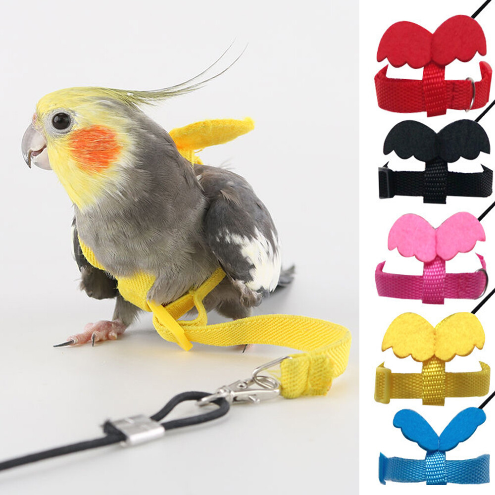 Adjustable Small Bird Parrot Harness Leash Flying Traction Straps Training Rope