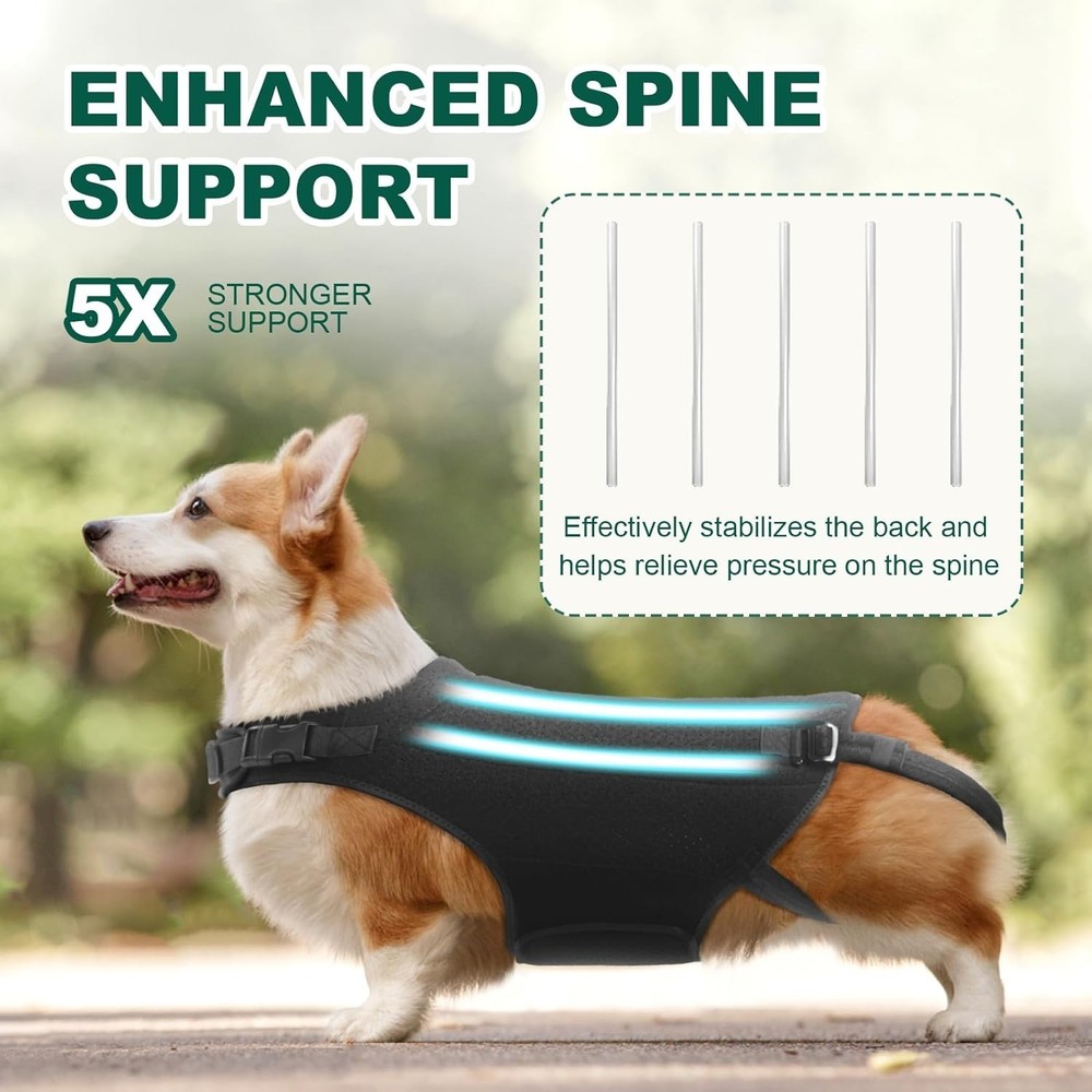 Dog Back Brace Spine Support Size L