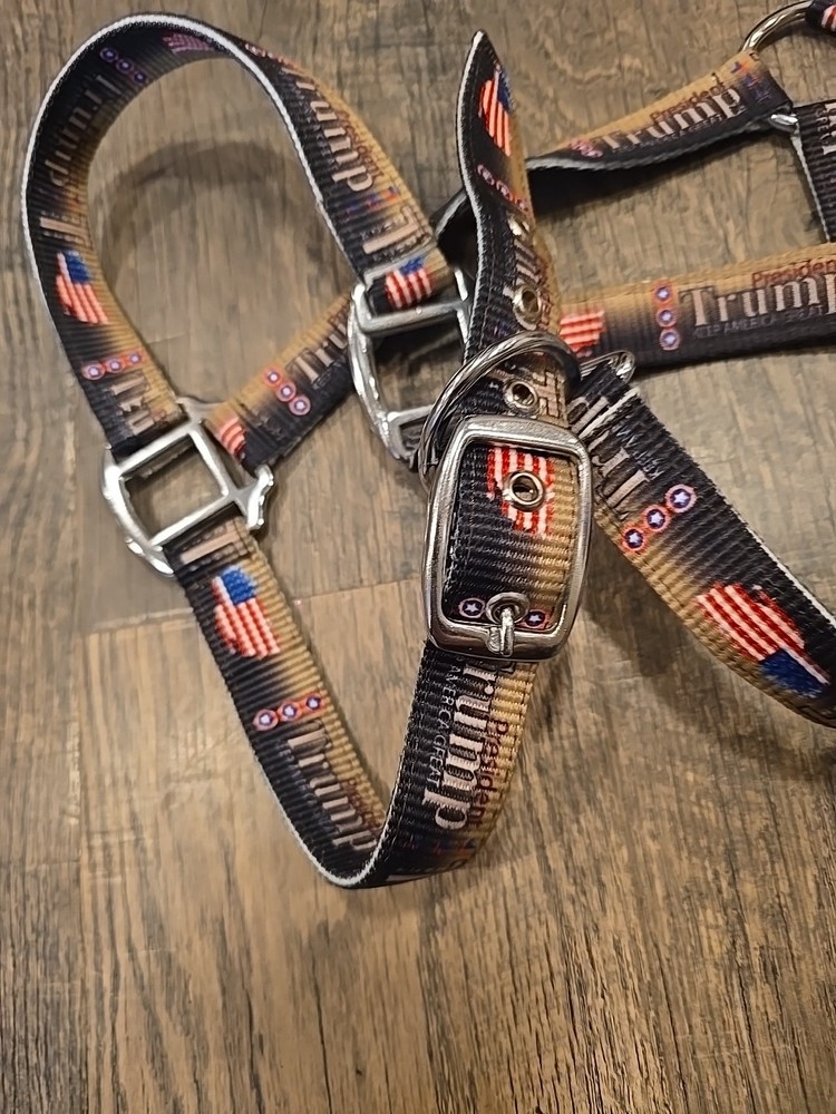 Horse Halter