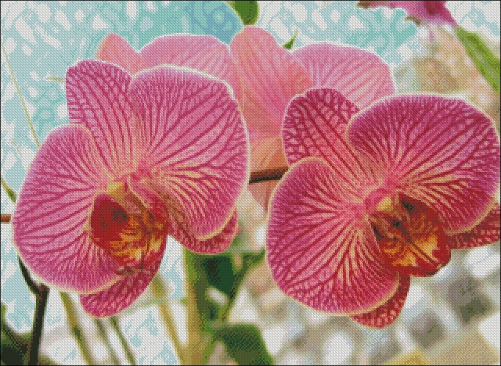 Chart Needlework DIY Counted Cross Stitch Patterns 14 ct - Orchid