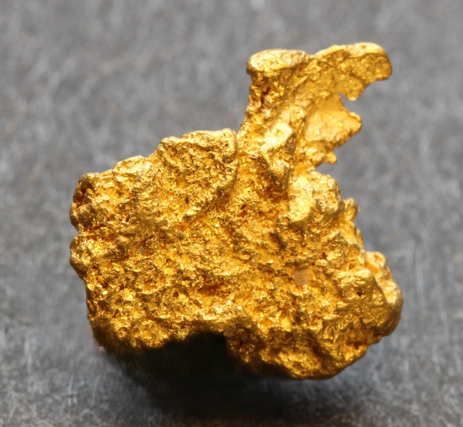 Gold nugget  1.07 Grams  Rose Creek M.D  Pershing Co. NV