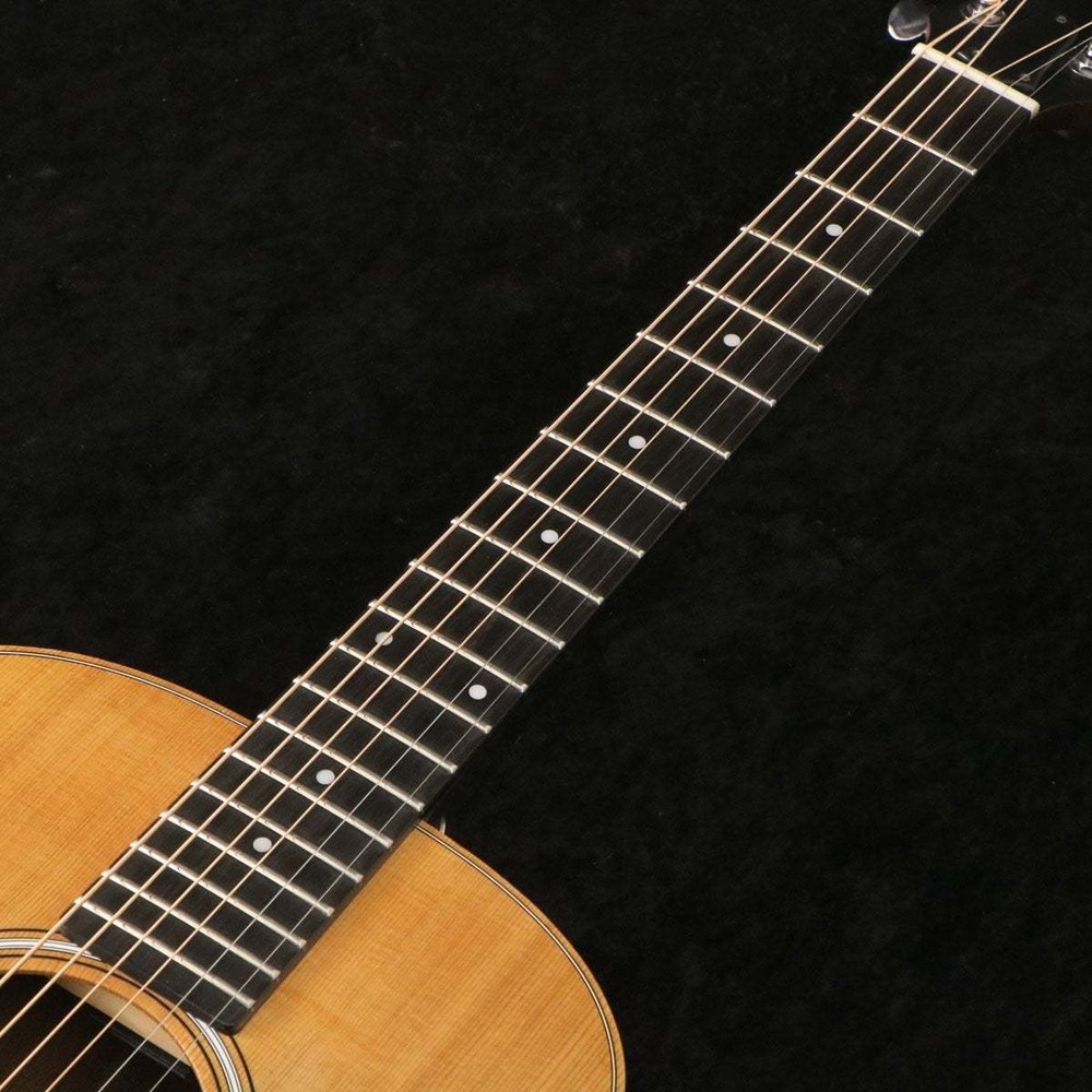 Taylor GS MINI (no260421)