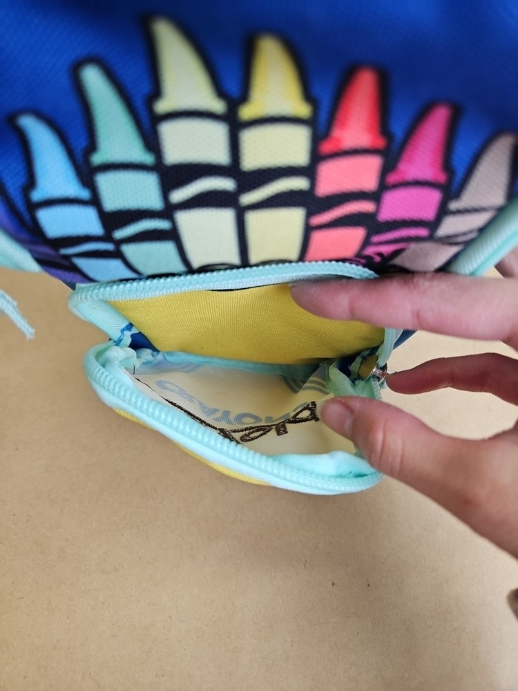 Crayola Pencil Case